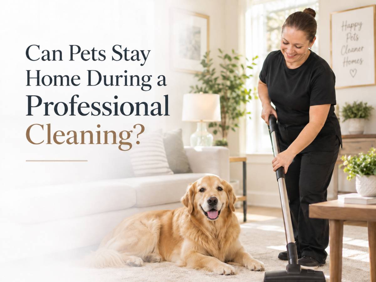 can-pets-stay-home-during-a-professional-cleaning